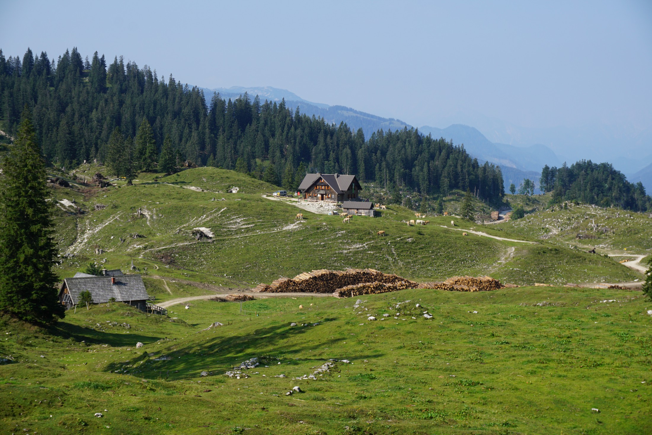 Schutzgebiete in den Ybbstaler Alpen